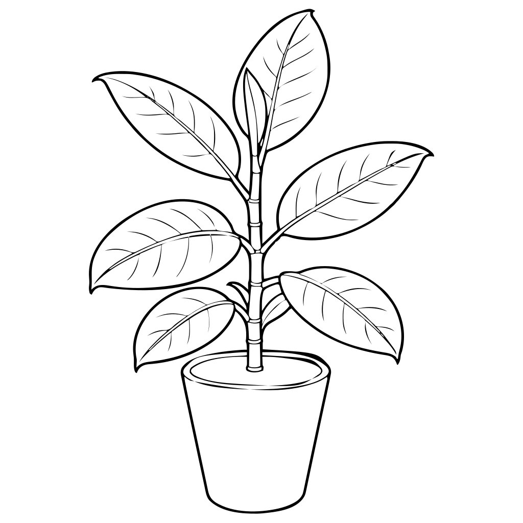 観葉植物のイラスト（線画）