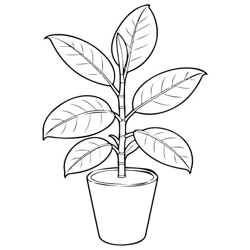 観葉植物のイラスト（線画）